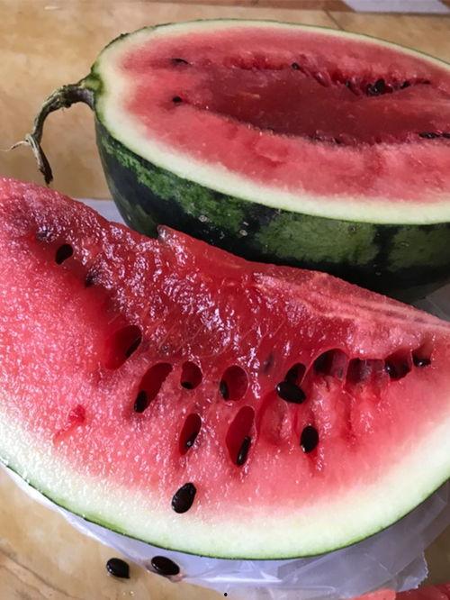 西昌的瓜最新爆料,最新爆料揭秘瓜界新宠